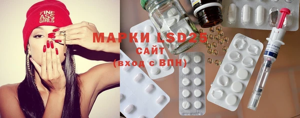 mdpv Каменка
