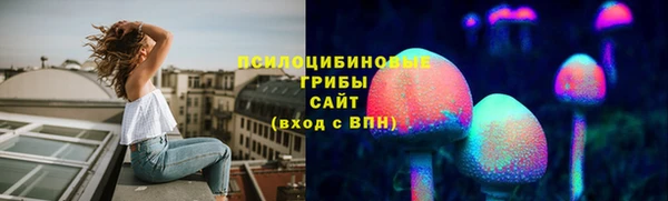 крисы Каменногорск