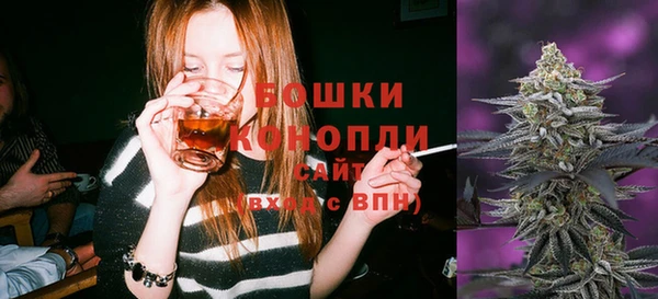 крисы Каменногорск