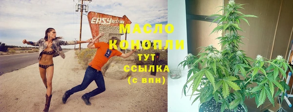 mdpv Каменка